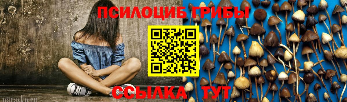 Галлюциногенные грибы мицелий  Вход с VPN  Первоуральск 